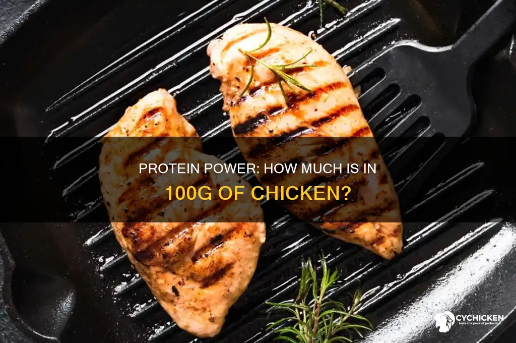 how many protein in 100 gm chicken