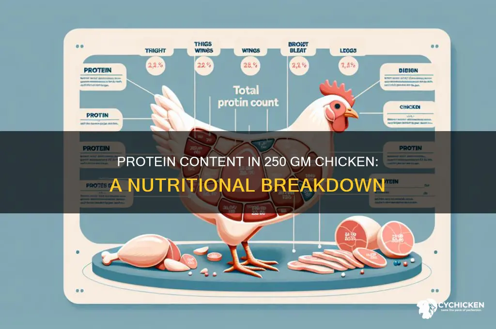 how many protein in 250 gm chicken