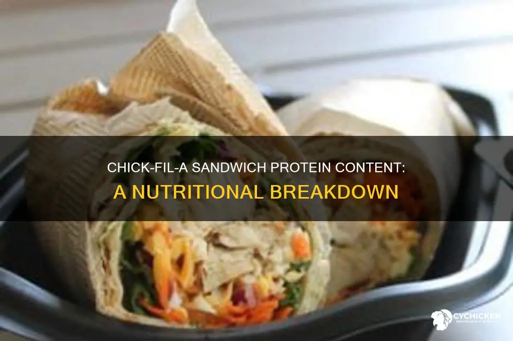 how many protein in chick fil a sandwich