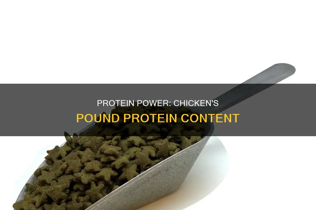 how many protein in one pound of chicken