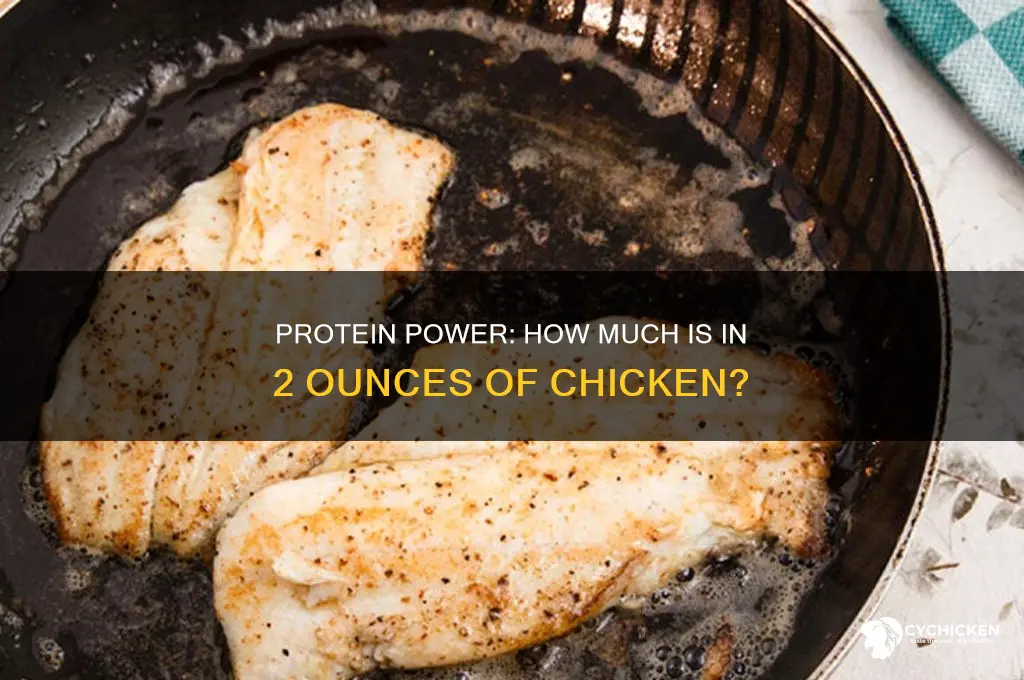 how many protien in 2 ounces chicken
