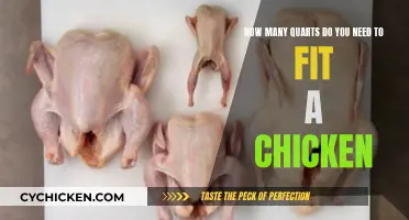 Fitting a Chicken: How Many Quarts Are Needed?