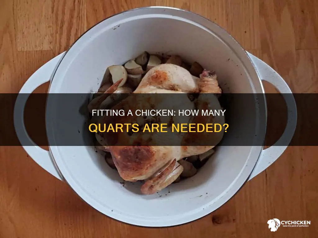 how many quarts do you need to fit a chicken