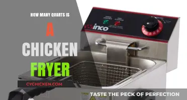How Many Quarts Does a Chicken Fryer Actually Hold?