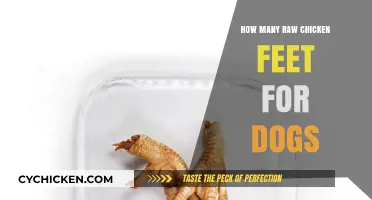 Raw Chicken Feet for Dogs: Safe Serving Sizes Explained