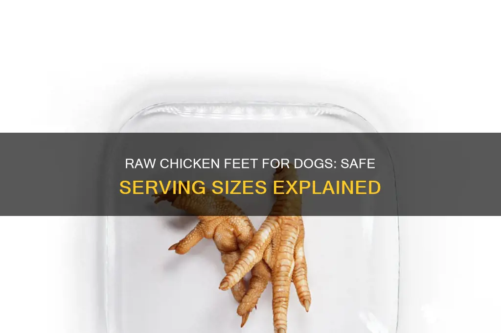 how many raw chicken feet for dogs