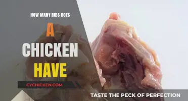 Unveiling the Truth: How Many Ribs Does a Chicken Possess?