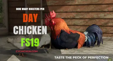 Maximizing Rooster Productivity: Daily Chicken Farming Tips in FS19