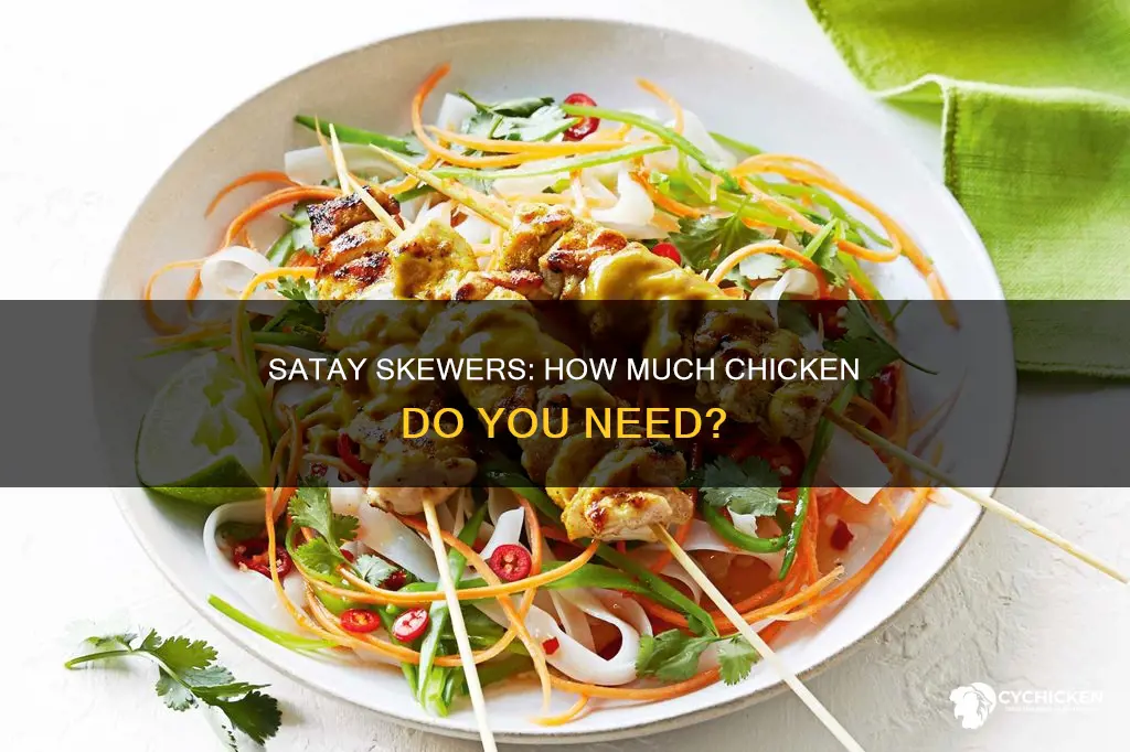 how many satay skewers in a lb of chicken