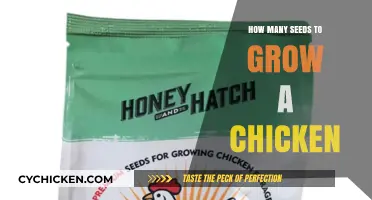 Can Seeds Grow Chickens? Debunking Myths and Exploring Facts