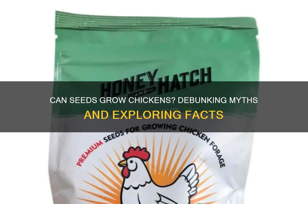 how many seeds to grow a chicken