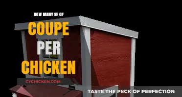 Calculating Coupe Square Footage for Optimal Chicken Coop Space