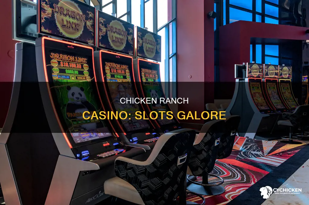 how many slot machines does chicken ranch casino have