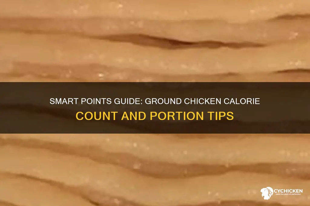 how many smart points in ground chicken