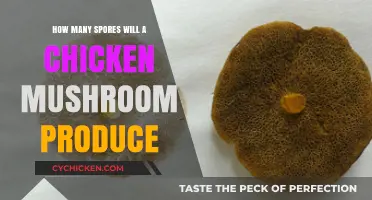 Chicken Mushroom's Spores: A Bounty of Life