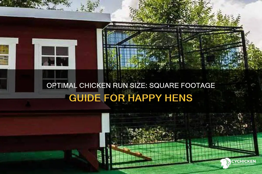 how many sq ft per chicken run