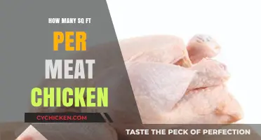 Calculating Space for Meat Chickens: Square Footage Guide