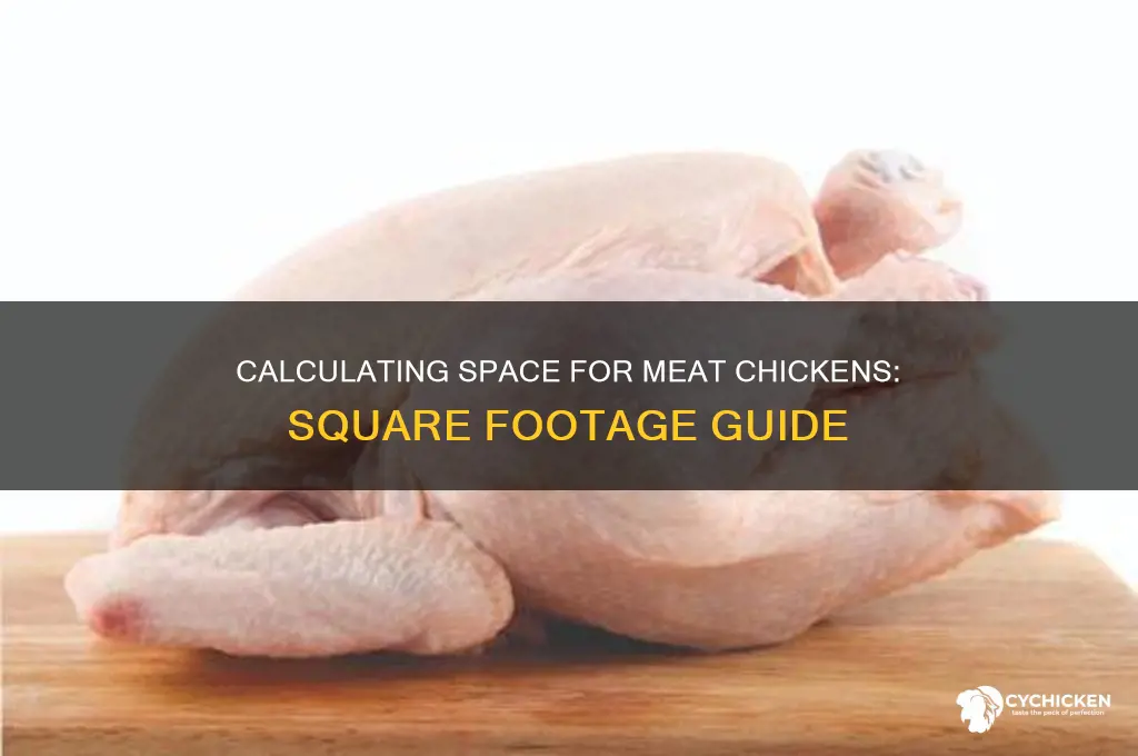 how many sq ft per meat chicken