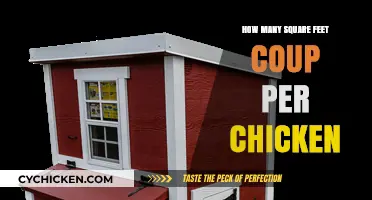 Optimal Coop Size: Square Feet per Chicken for Happy Flocks