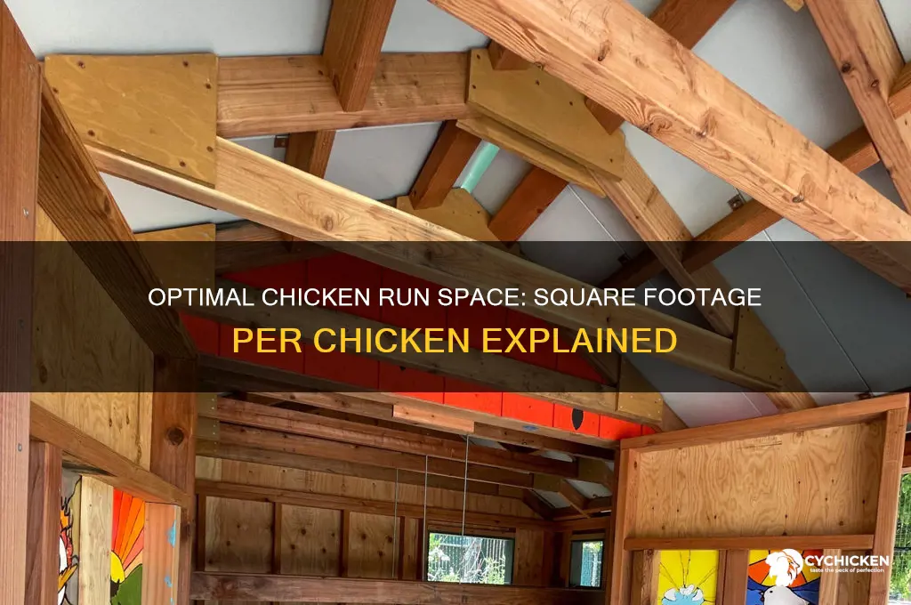 how many square feet of run per chicken