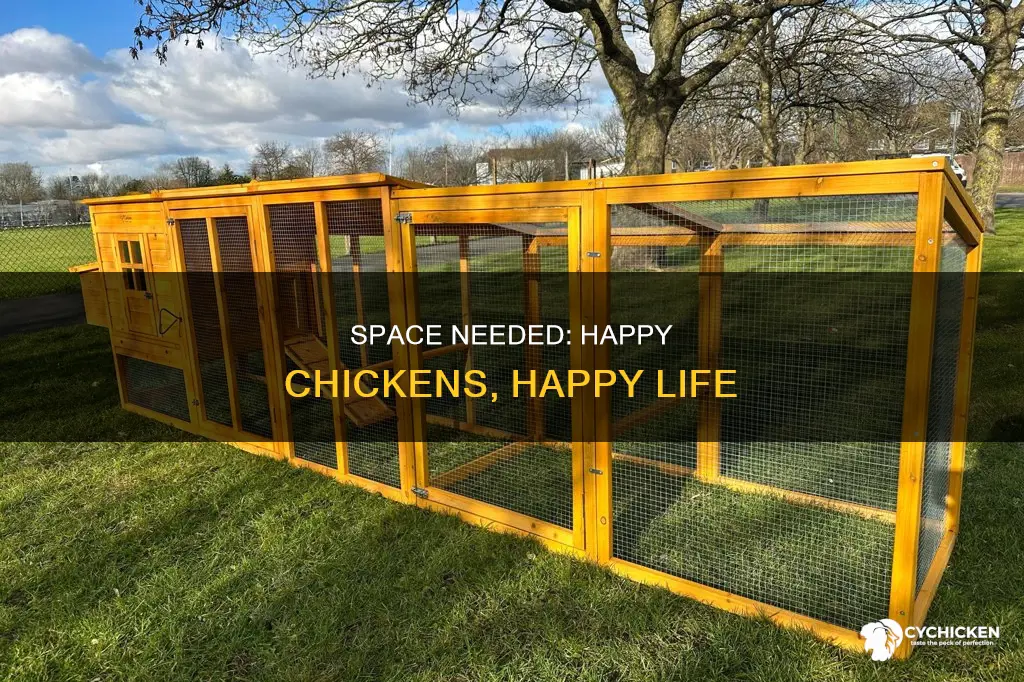 how many square feet of space does a chicken need