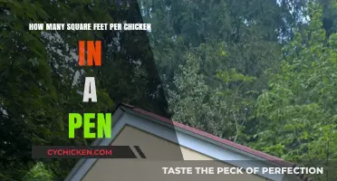 Space Needed: Square Footage Per Chicken in a Pen