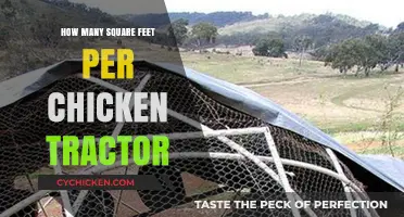 Sizing Your Chicken Tractor: Square Footage Tips for Happy Hens