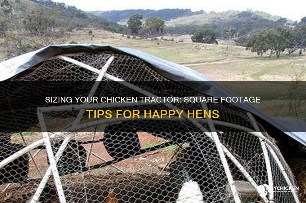 how many square feet per chicken tractor
