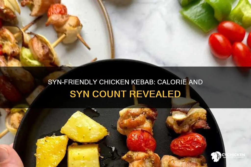 how many syns are in chicken kebab