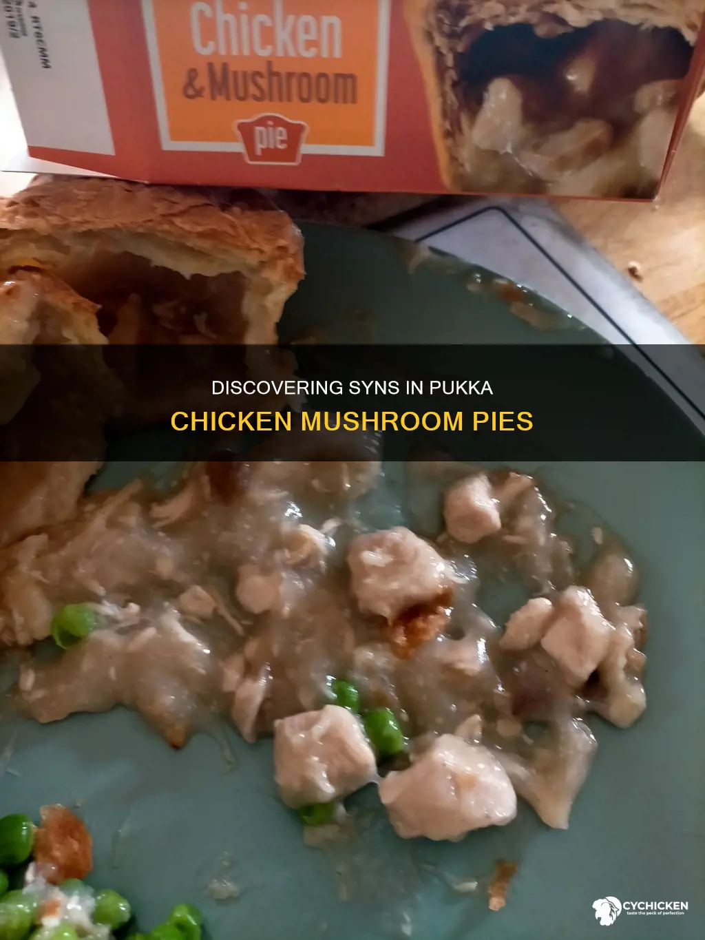 how many syns in a chicken and mushroom pukka pie