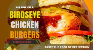 Syn Count in Birdseye Chicken Burgers: A Slimming World Guide