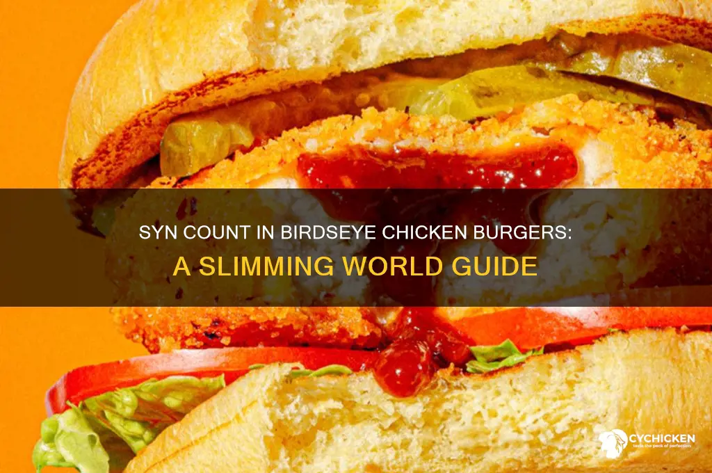 how many syns in birdseye chicken burgers