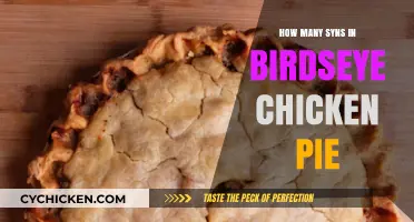 Syn Count in Birdseye Chicken Pie: A Slimming World Guide