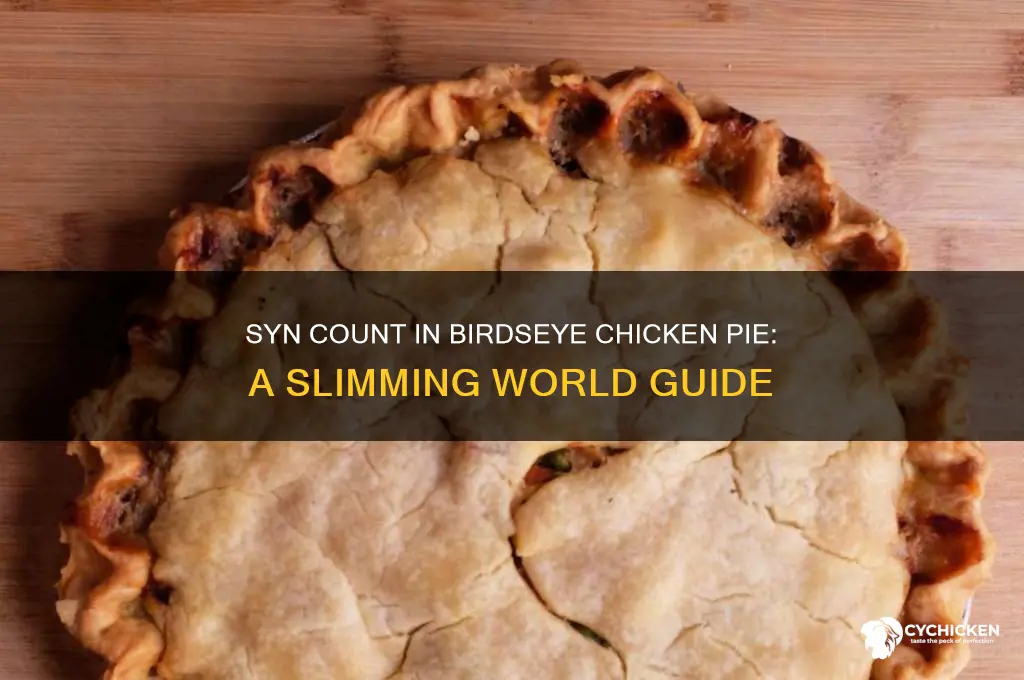 how many syns in birdseye chicken pie