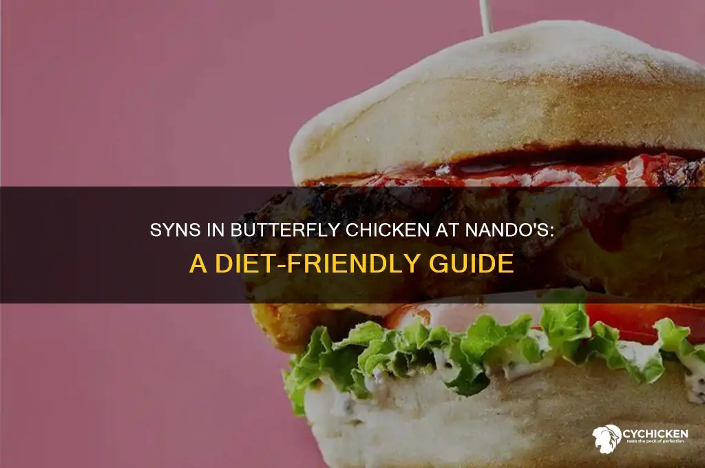 how many syns in butterfly chicken nandos