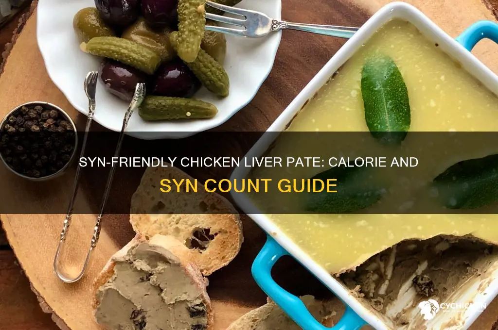 how many syns in chicken liver pate