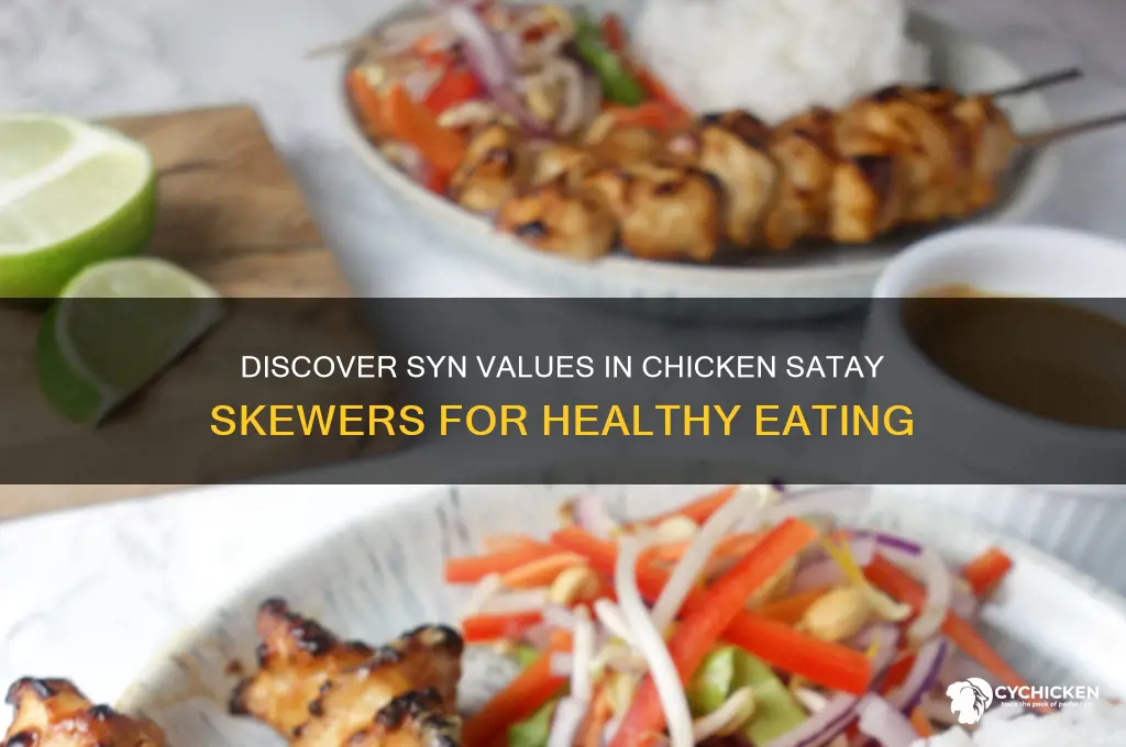 how many syns in chicken satay skewers