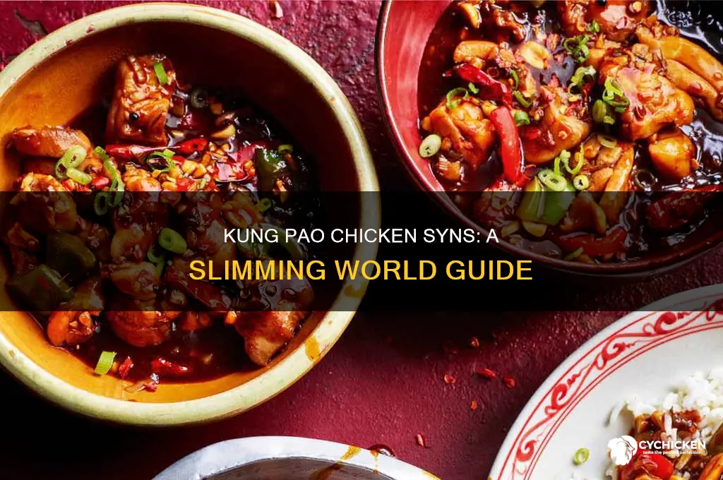 how many syns in kung pao chicken
