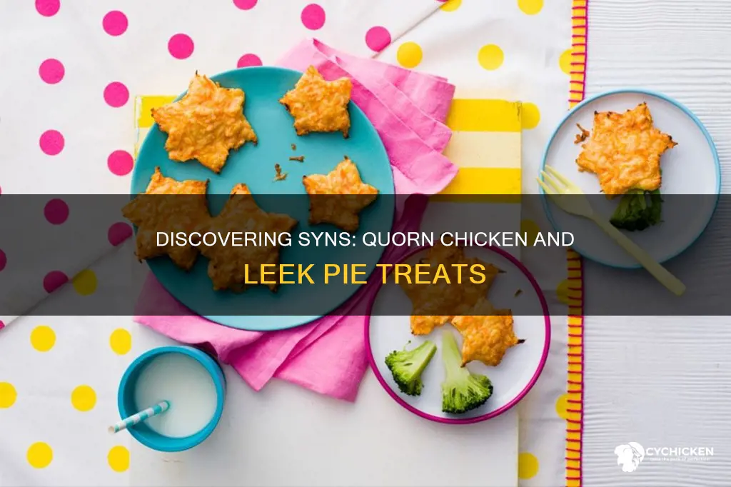 how many syns in quorn chicken and leek pie