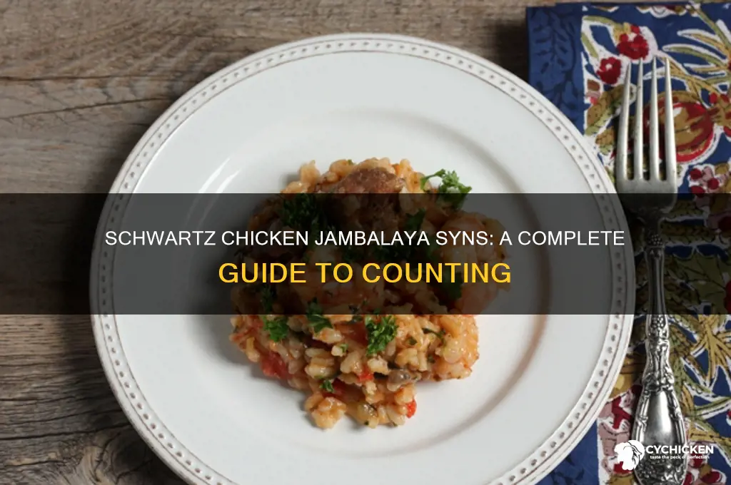 how many syns in schwartz chicken jambalaya