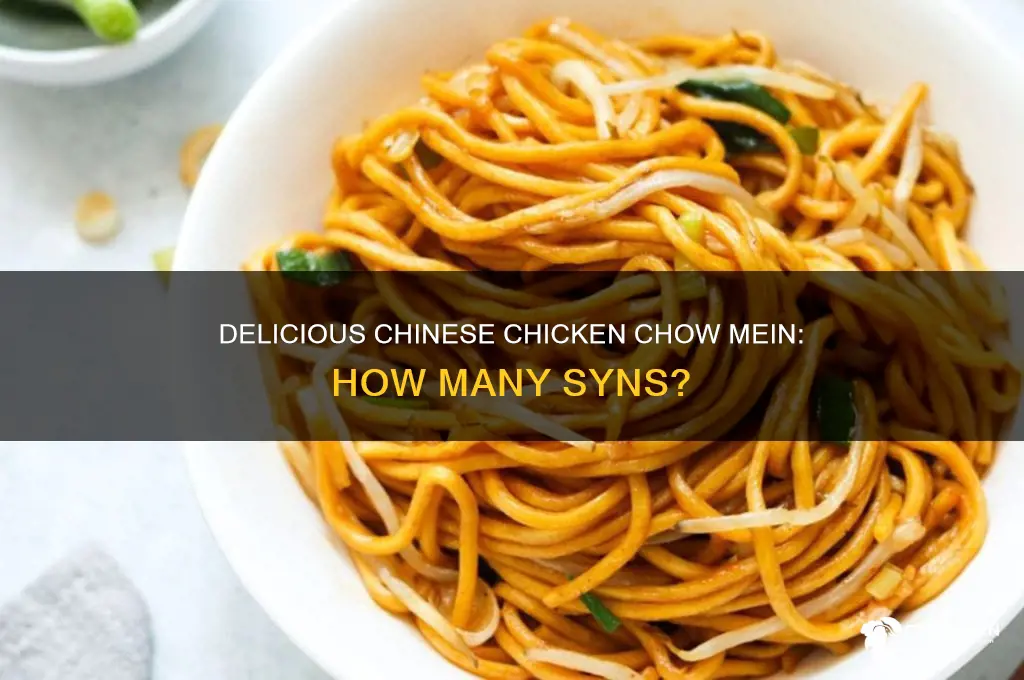 how many syns is chinese chicken chow mein