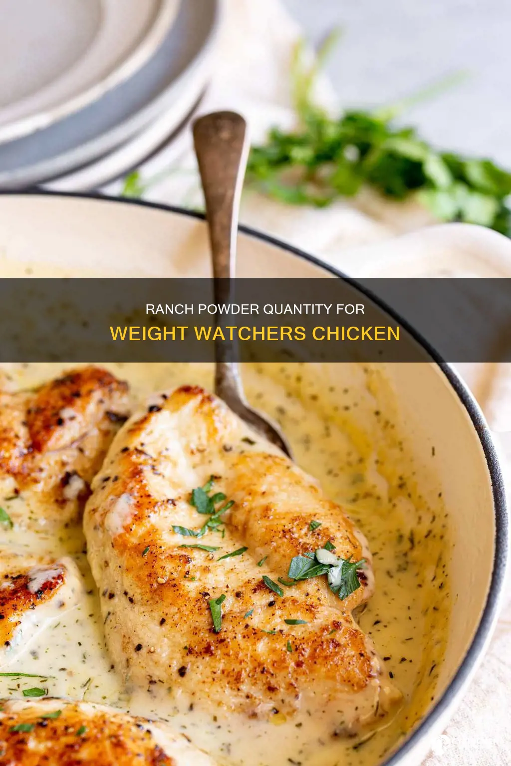 how many tbsp of ranch powder for weight watchers chicken