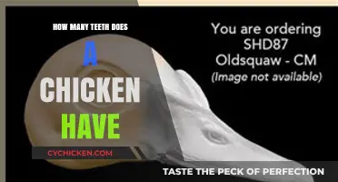 Do Chickens Have Teeth? Uncovering the Truth About Poultry Anatomy