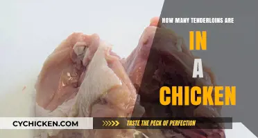 Understanding Chicken Anatomy: How Many Tenderloins Does a Chicken Have?