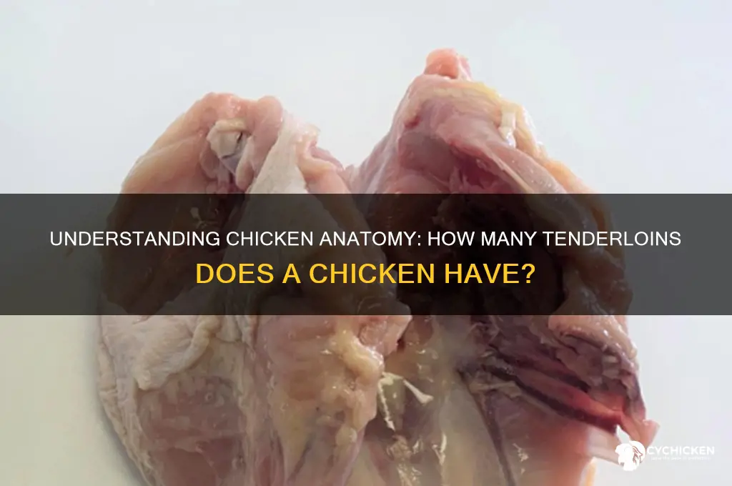 how many tenderloins are in a chicken