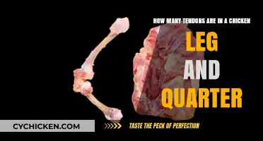 Exploring Tendons in Chicken Legs and Quarters