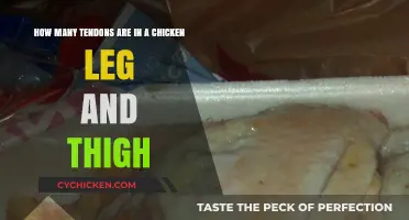 Exploring the Tendons in a Chicken Leg and Thigh