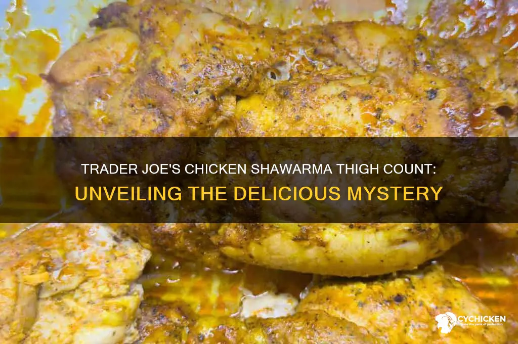 how many thighs in the trader joes chicken sharwma