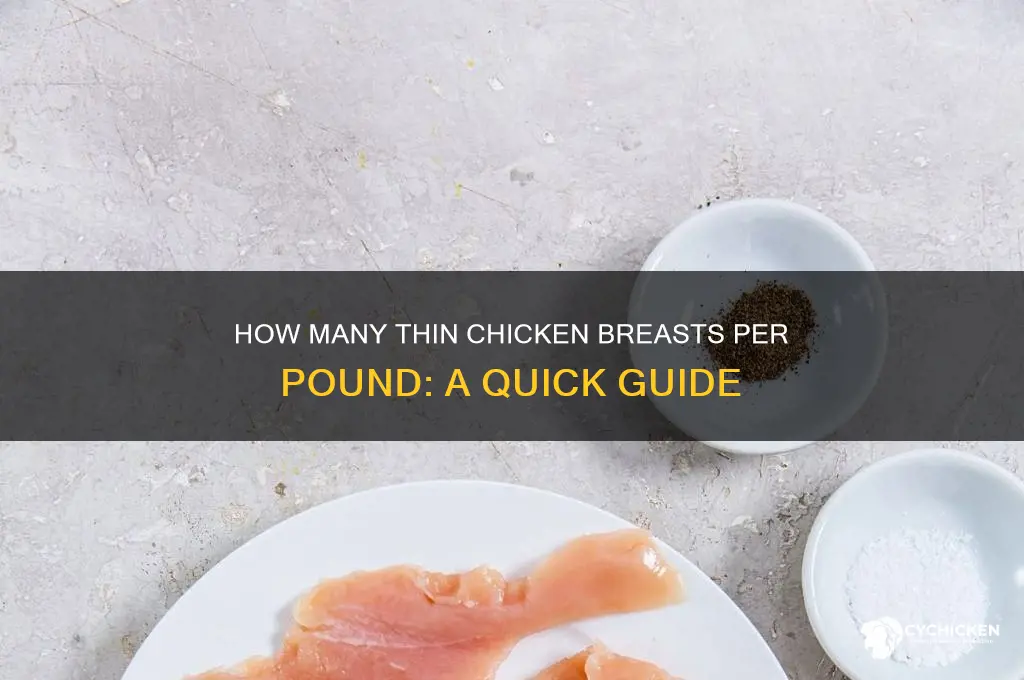 how many thin chicken breaats per pound