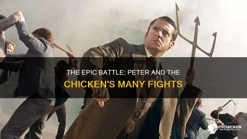 how many times has peter and the chicken fight